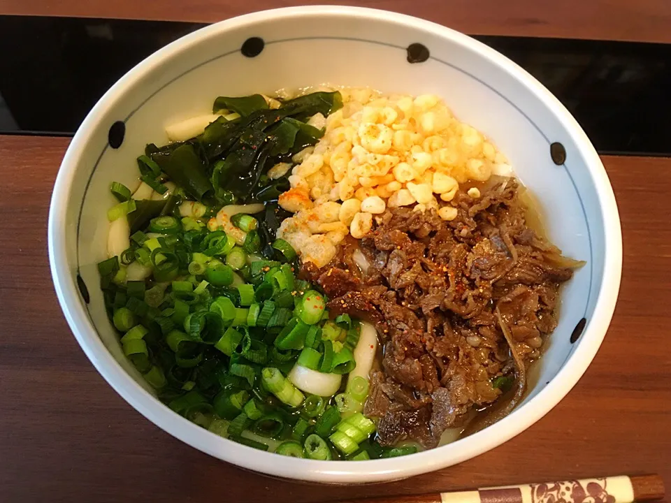 Snapdishの料理写真:18/05/08 ランチは肉うどん♪|ikukoさん