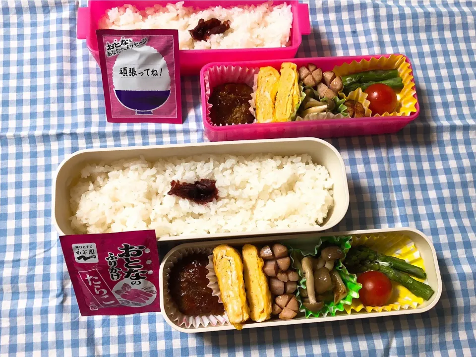 Snapdishの料理写真:2019/05/09(水) 夫弁当&娘弁当🎵|kiyominさん