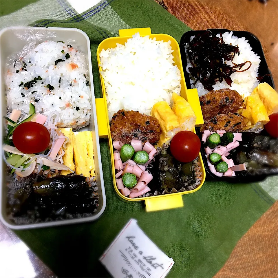 #卵焼き  #お弁当  #春雨サラダ #|renharuruさん