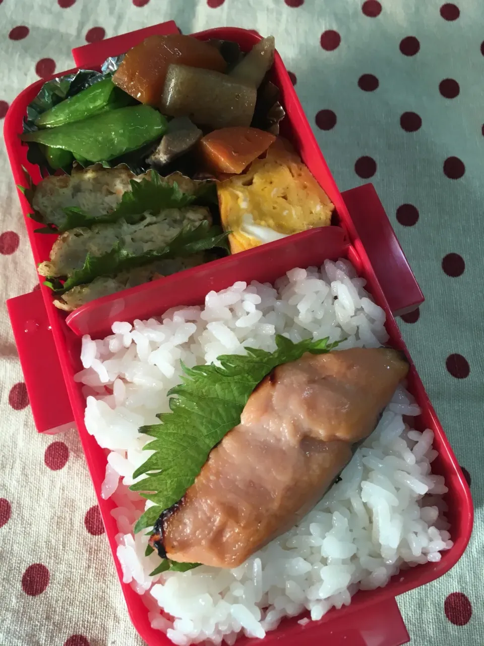 5月10日 晴天弁当☀️🍱|sakuramochiさん