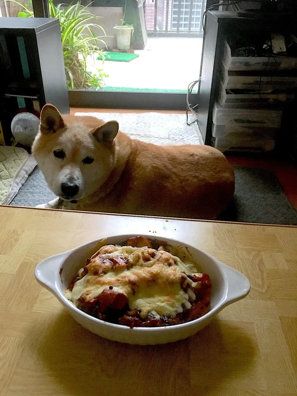 Snapdishの料理写真:夜勤明け焼き麻婆|Tarou  Masayukiさん