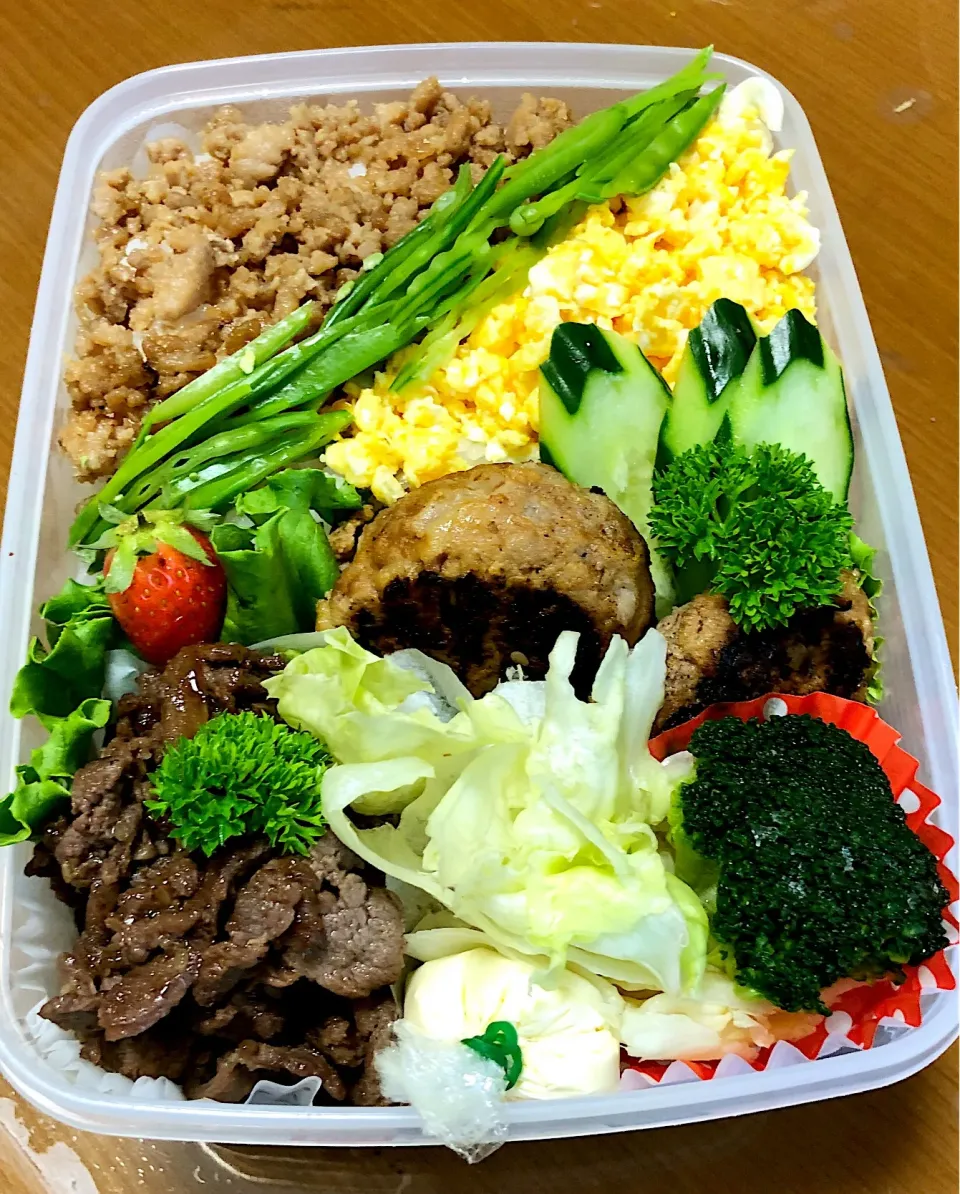 息子弁はそぼろ丼弁当(^^)|masasho's momさん