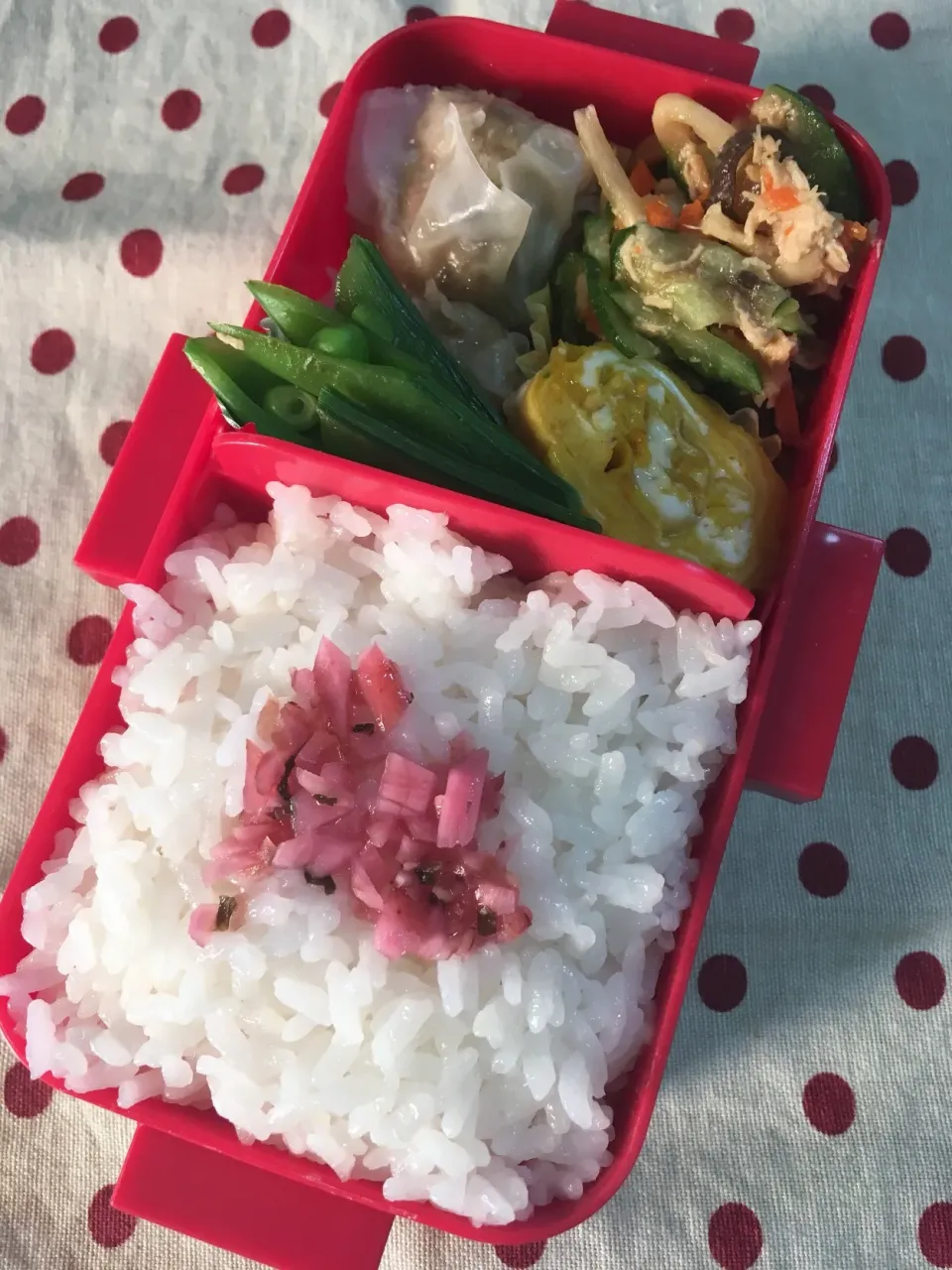 5月11日 週末弁当|sakuramochiさん