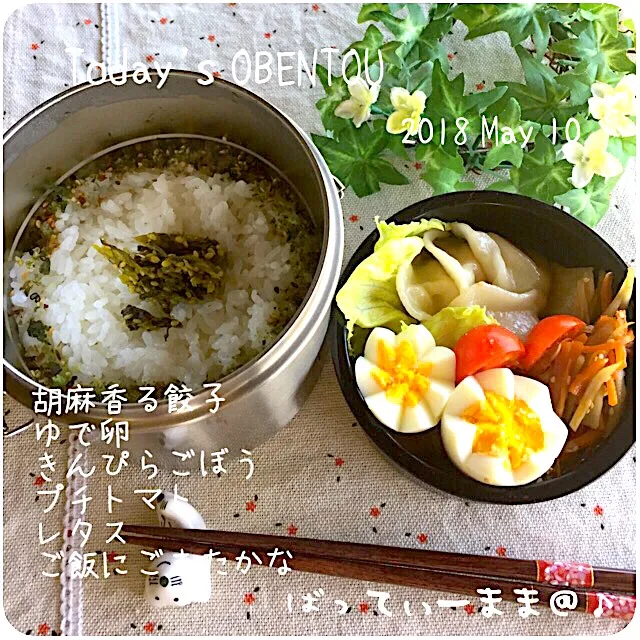 胡麻香る餃子弁当～♡  #ばってぃーまま＠♪の節約しても美味しいお弁当|ばってぃーまま＠♪さん