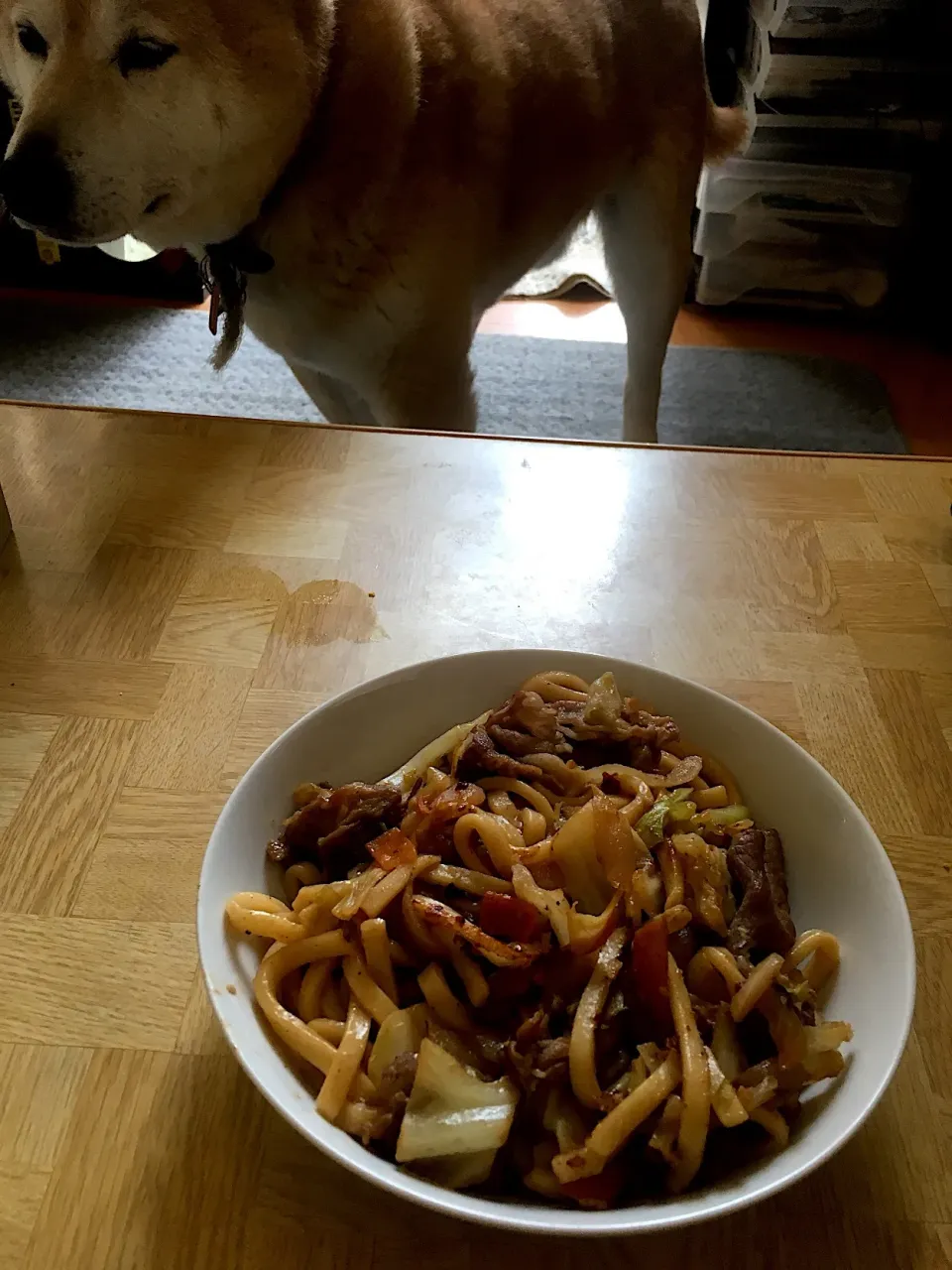 Snapdishの料理写真:夜勤明け味噌焼きうどん(信州産味噌)|Tarou  Masayukiさん