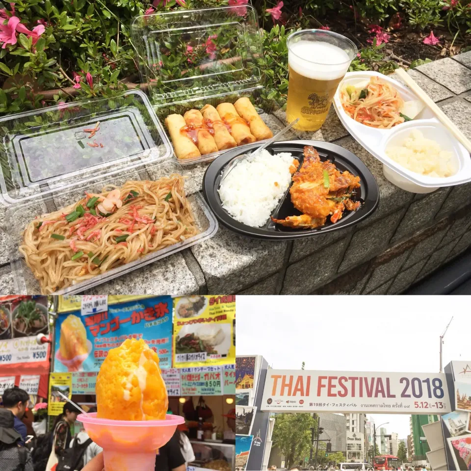 THAI FESTIVAL 2018🐘🇹🇭☀️|leeさん