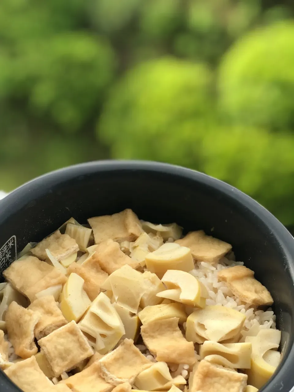 かぴちゃんから届いたたけのこで たけのこご飯|シュトママさん