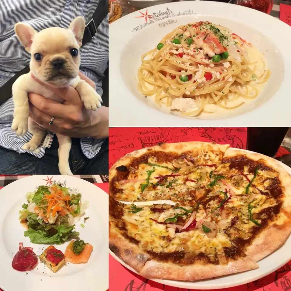 Snapdishの料理写真:吉祥寺のCHIANTIでランチ🍝🍕🐷|leeさん