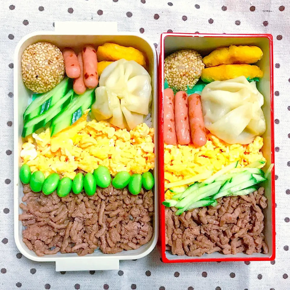 JK姉妹のそぼろ丼弁当|mamacatさん