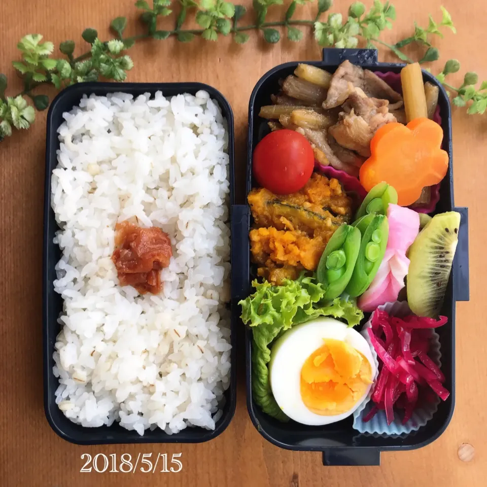 今日の娘弁当2018.5.15...♪*ﾟ|ばろんさん