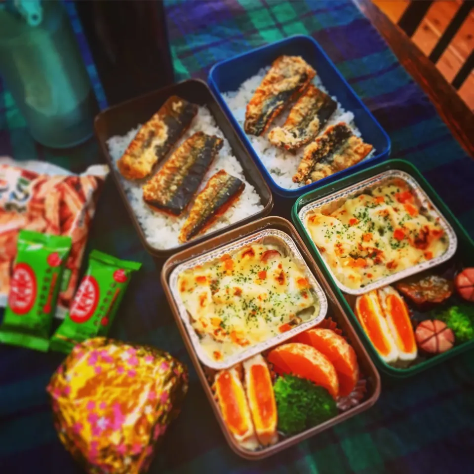 Snapdishの料理写真:高校男子✖️2 グラタンお弁当(*´∇｀)ﾉ　2018.05.15|カンカンさん