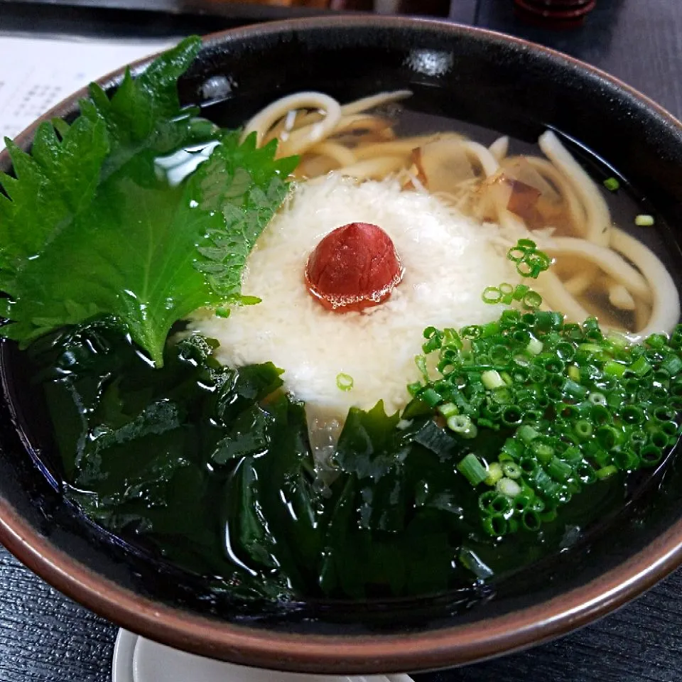 Snapdishの料理写真:飛梅とろろうどん@大宰府|_Namiさん