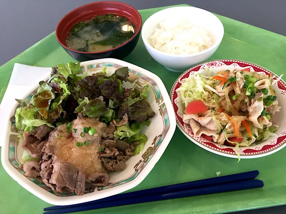 おろし焼肉梅風味、豚しゃぶサラダ|Tadahiko Watanabeさん