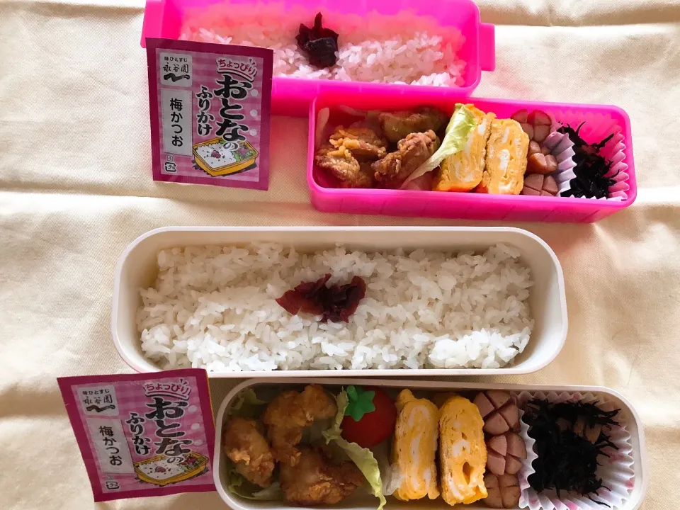 Snapdishの料理写真:2018/05/16(水) 夫弁当&娘弁当🎵|kiyominさん