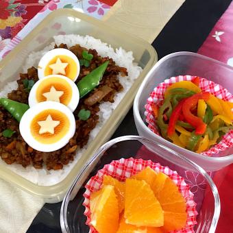 5月17日 プクパパお弁当 #お弁当