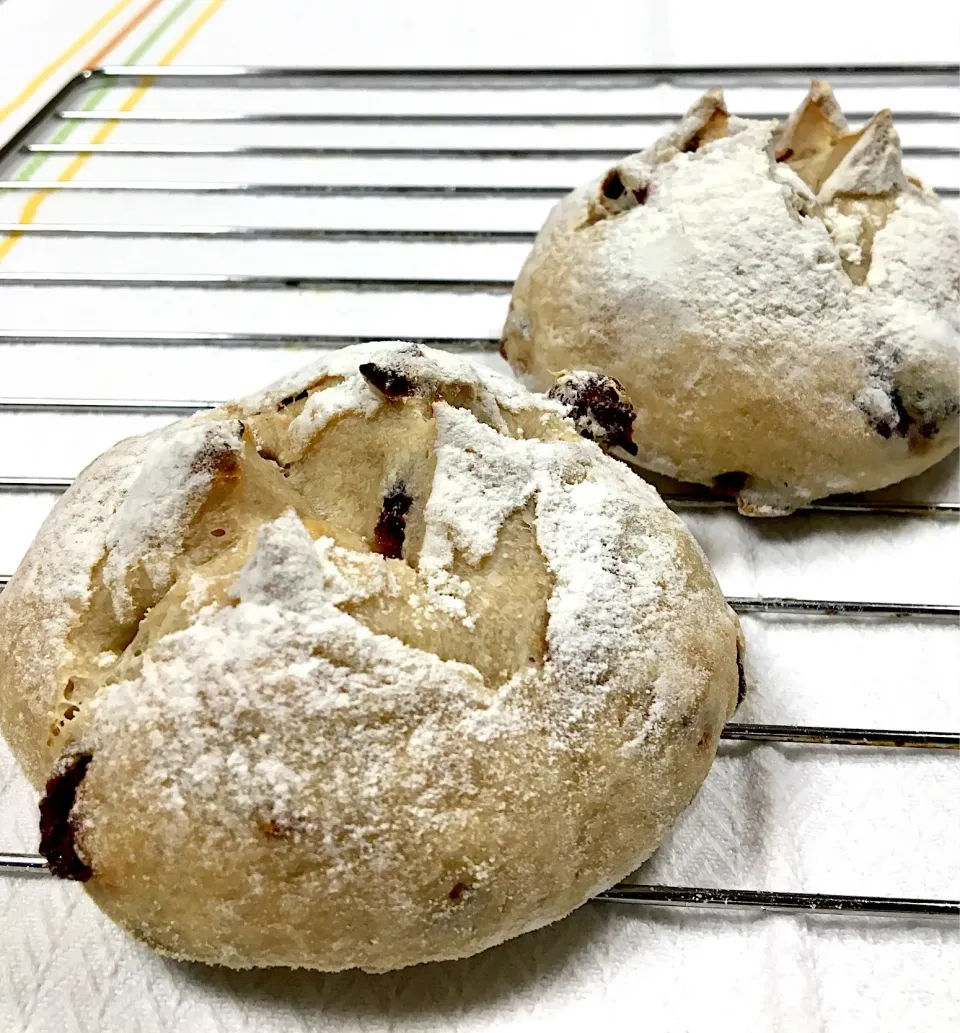 Sourdough Cranberry Bread|gonbenさん