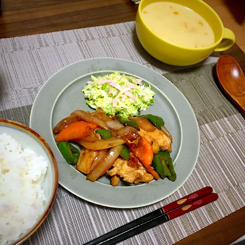 コールスロー、鶏肉と野菜の炒め物|たまさん