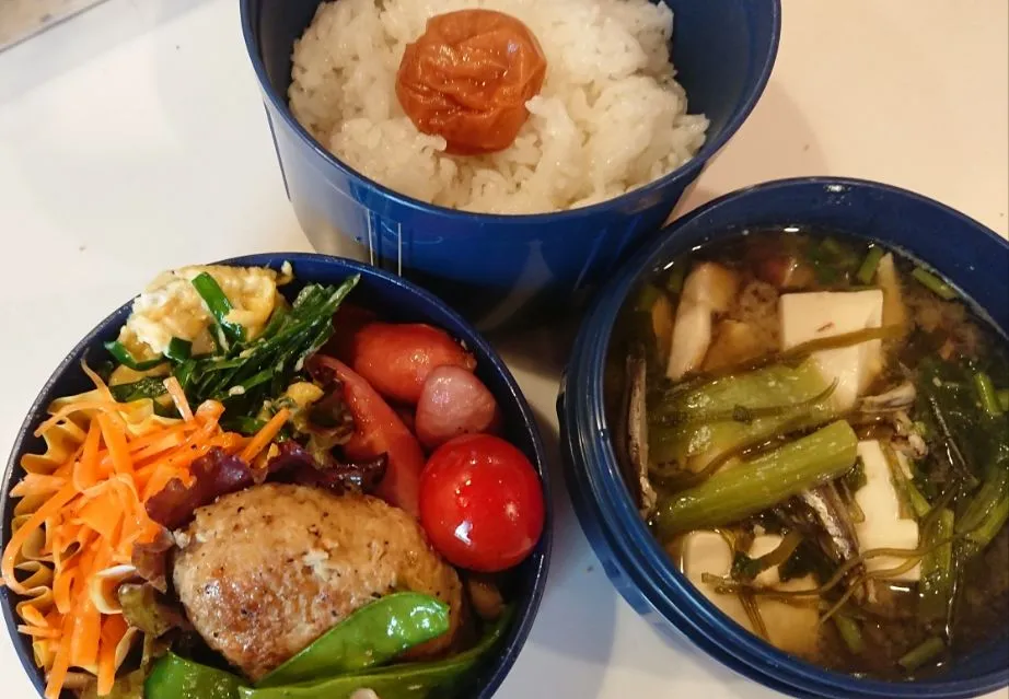 Snapdishの料理写真:今日の旦那さん弁当🍱|Moubuさん