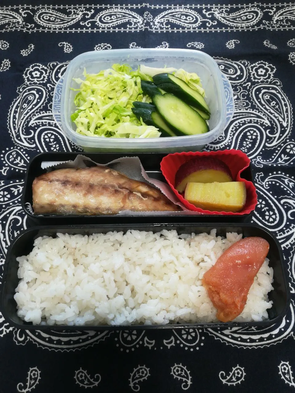 鯖の塩焼き弁当🍱|とにおさん