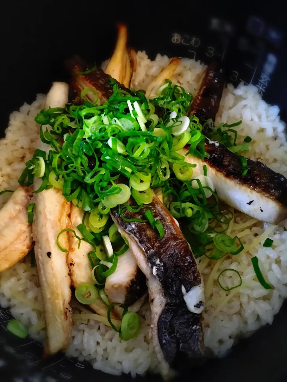 Snapdishの料理写真:ホッケ飯。生姜の炊き込みご飯に焼きたてのホッケと刻みネギ。|mattさん