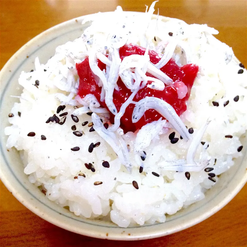 炊きたてご飯🌸🍚梅干し&朝採り釜揚げしらすでね〜🤗💕|まいりさん