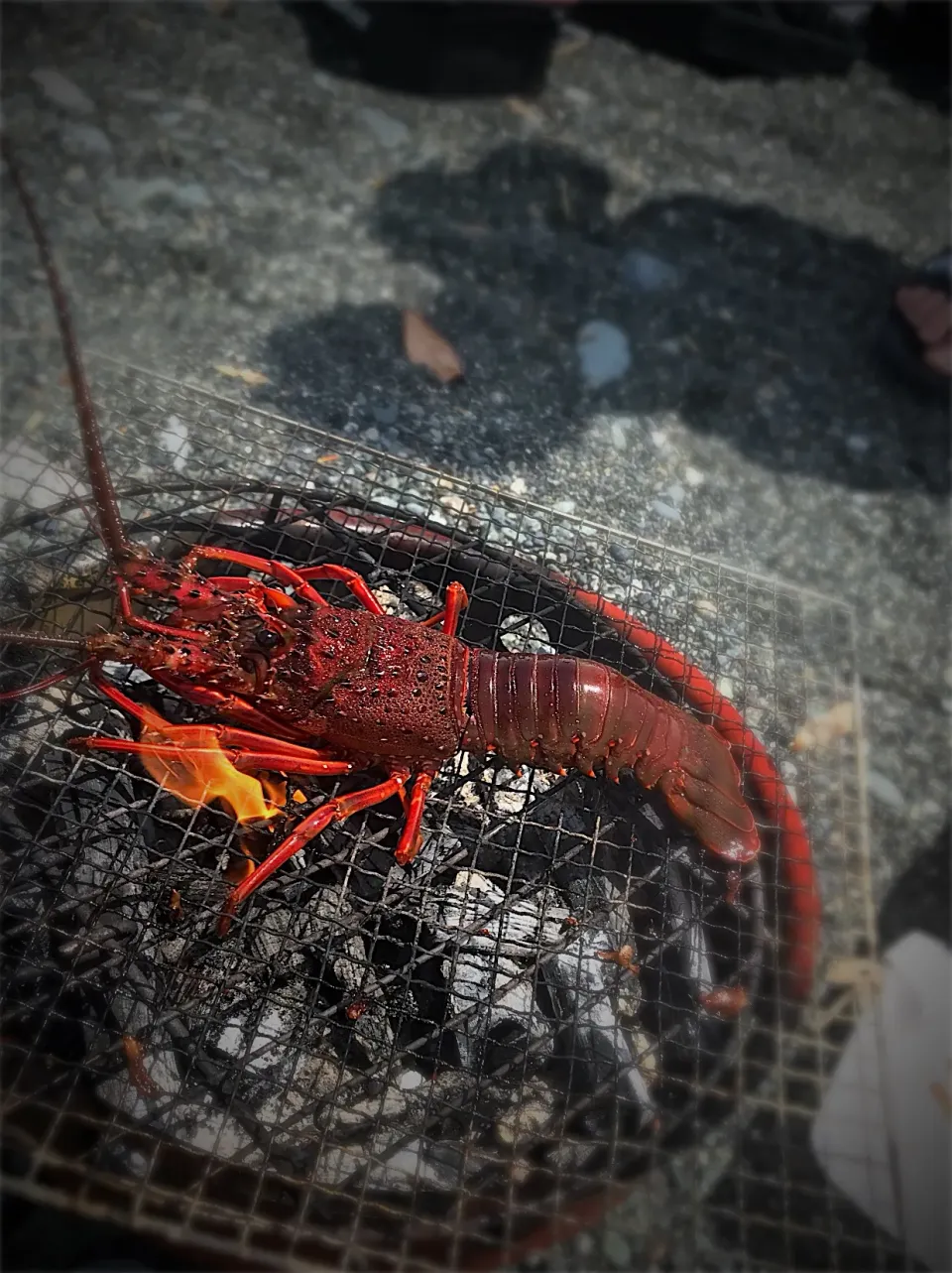 Snapdishの料理写真:伊勢エビBBQ|t.suzunaさん