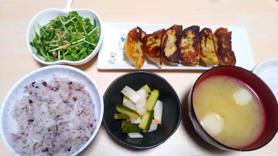 ４月２２日　餃子　ピクルス　豆苗サラダ　お味噌汁|いもこ。さん