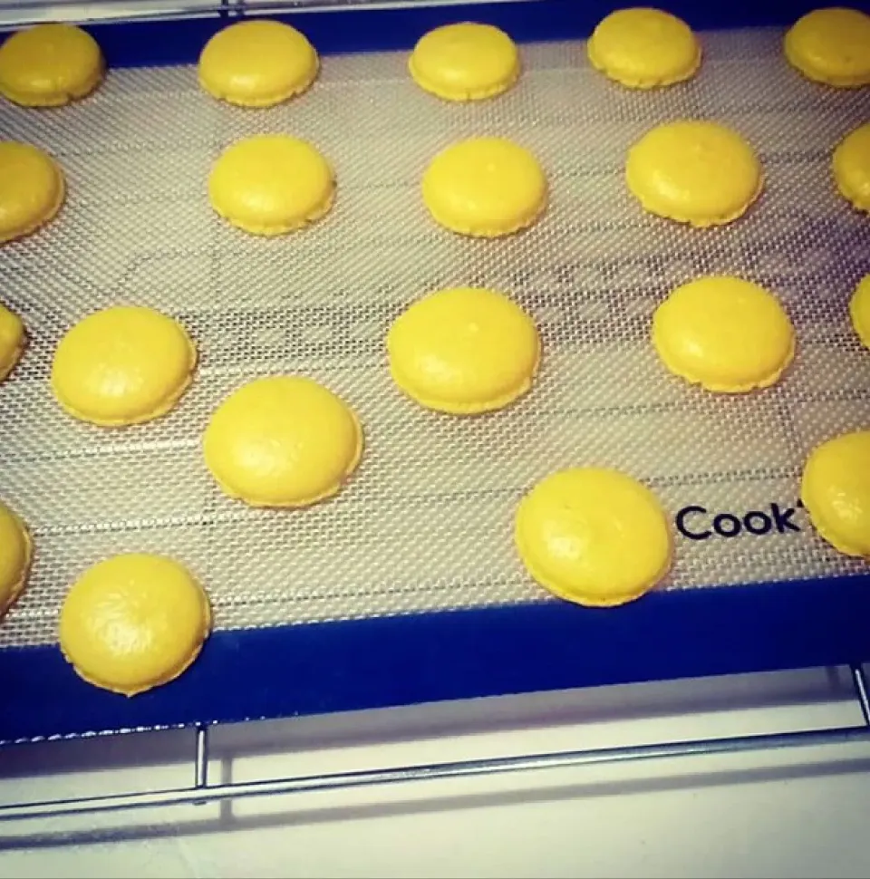 Snapdishの料理写真:french macarons|Tess Worlandさん