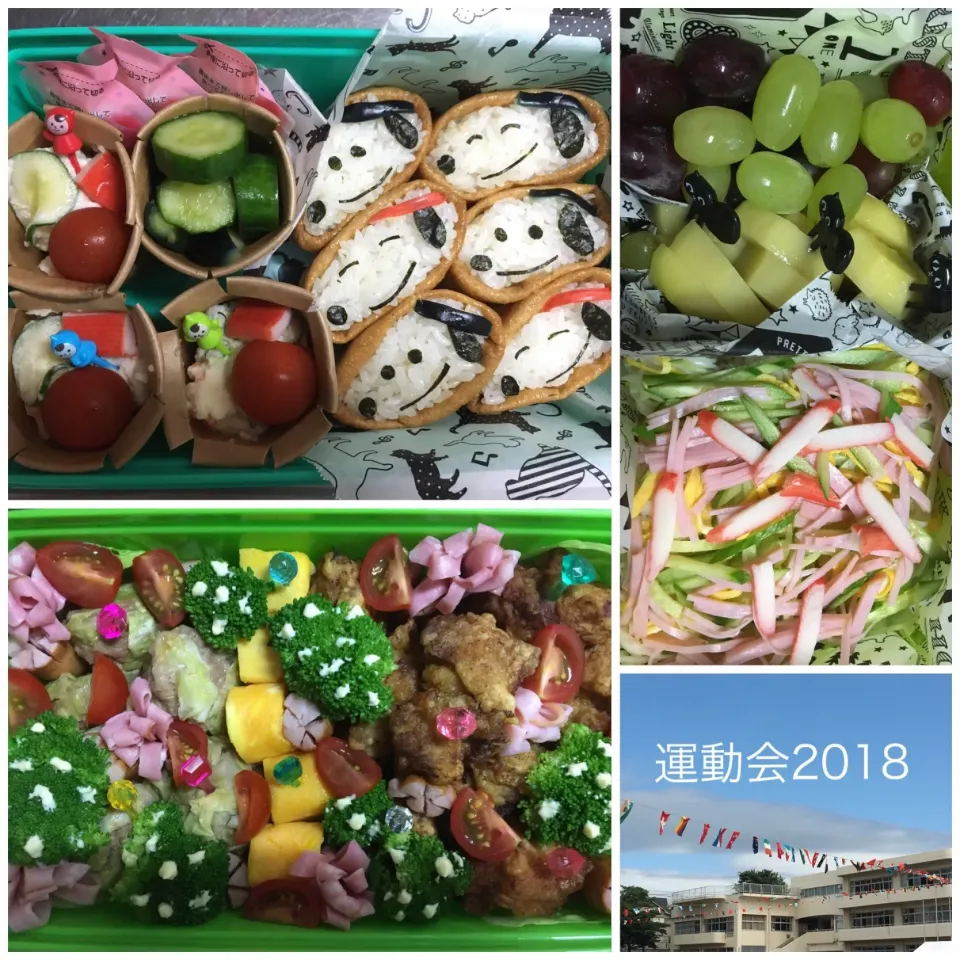 運動会弁当2018
 #お弁当  #キャラ弁  #運動会  #運動会弁当 #運動会弁当2018 #スヌーピー弁当  #スヌーピー  #スヌーピーいなり寿司 #そうめん #そうめん弁当|こむぎさん