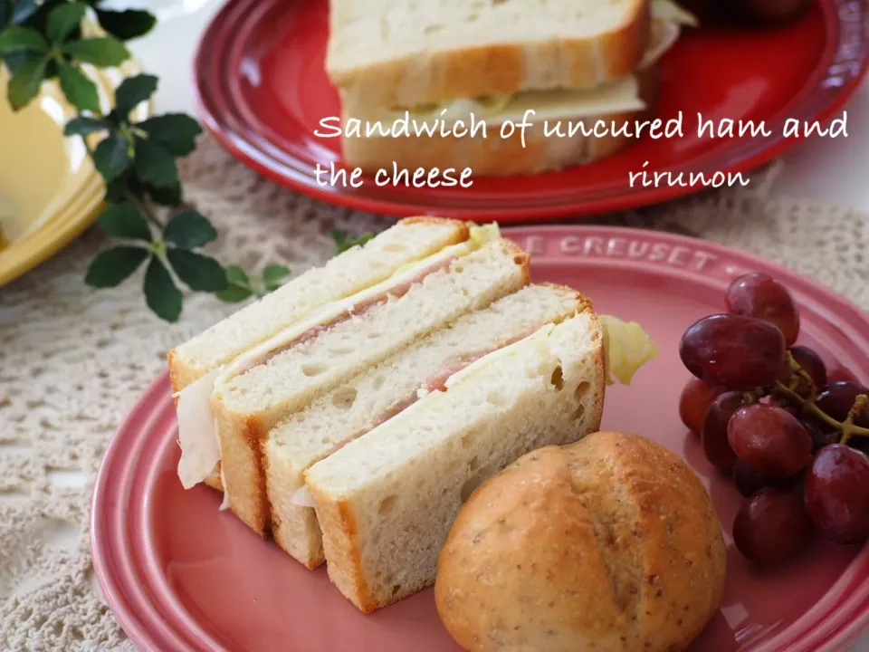 自家製レーズン酵母の食パンで生ハムとチーズのサンドイッチ🥪|りるのんさん