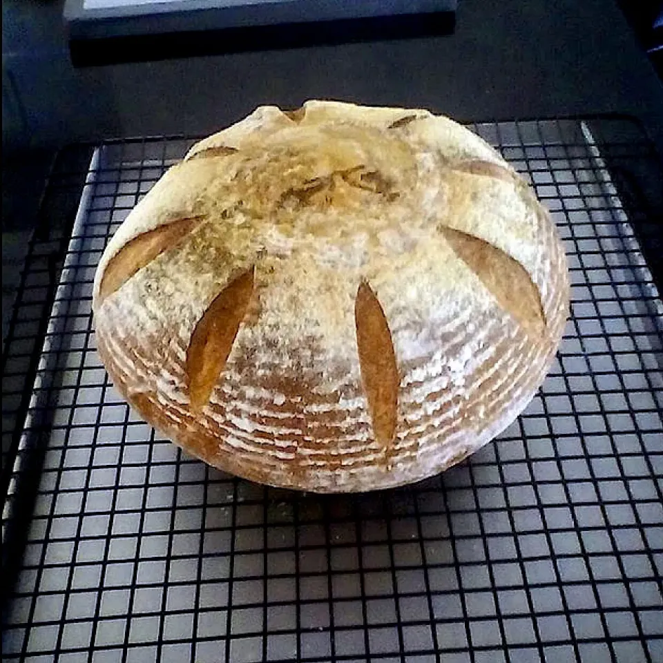 Boule bread loaf|Tess Worlandさん