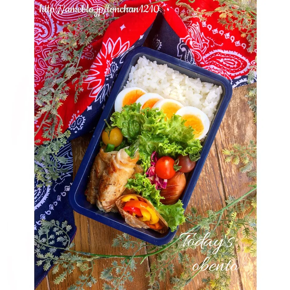 Snapdishの料理写真:アスパラの肉巻きのお弁当！新しいお弁当箱を使って | Tonchan's easy cooking

 #節約  #レンジで簡単  #かんたん  #簡単  #簡単おうちカフェ  #おうちカフェ  #簡単レシピ  #簡単料理  #時短  #お弁当  #時短  #お弁当箱 #|tonchanさん