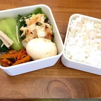 今日のお弁当|やまさんさん