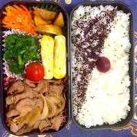 Snapdishの料理写真:お弁当|Yukie.mさん