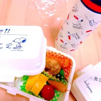 今日のお弁当🐤|cemさん