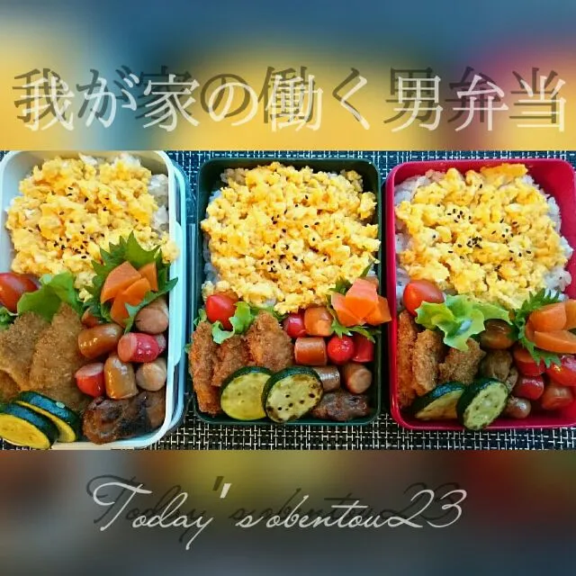 #我が家の働く男弁当
彩りのっけ盛弁当🍱🍴|kimi=kimi🌼Kitchenさん