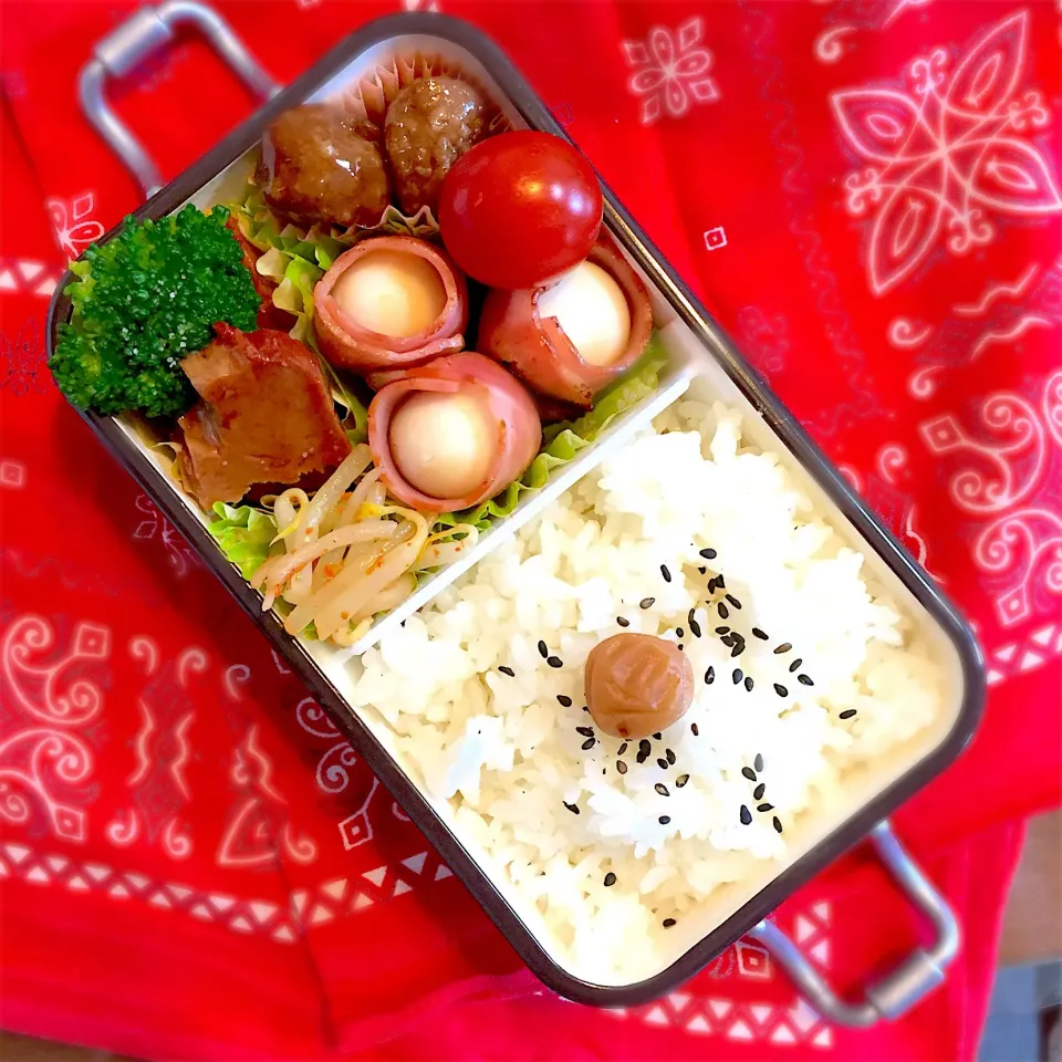 昨日の兄弟弁当🍱|anchanさん