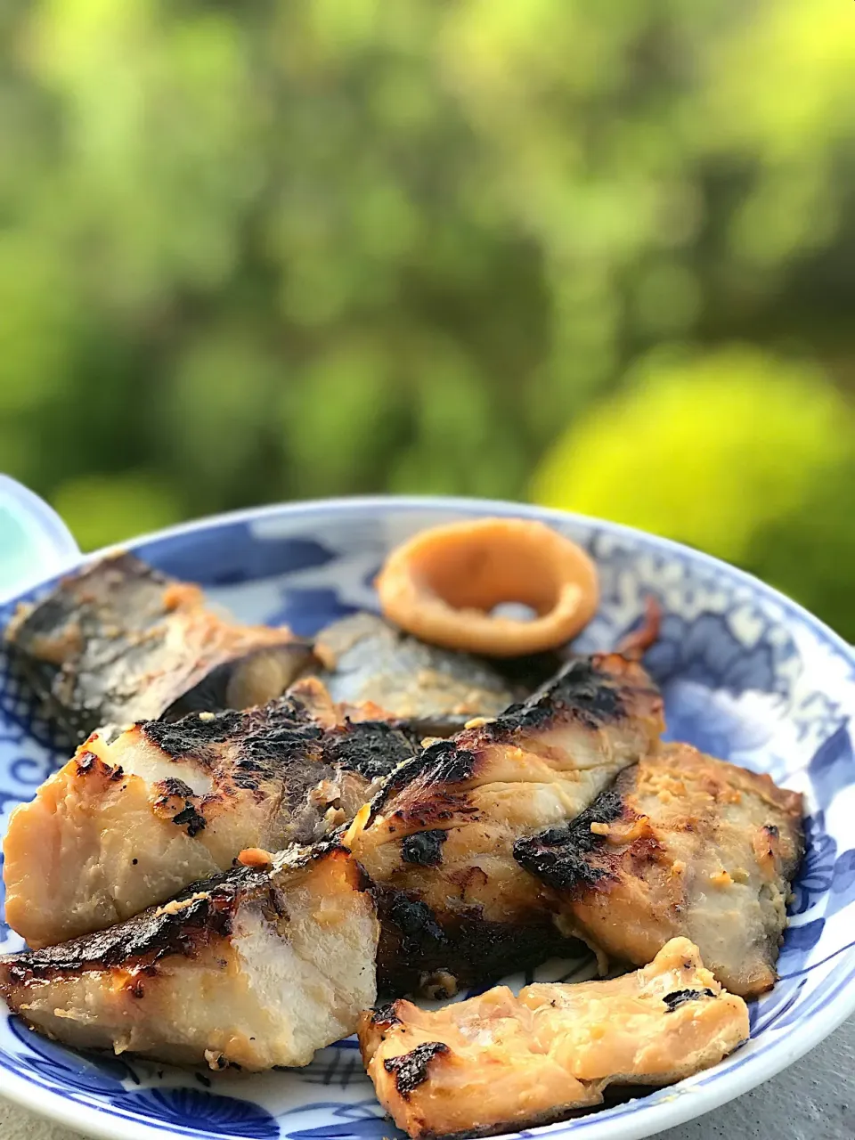 魚粕漬け焼き|シュトママさん