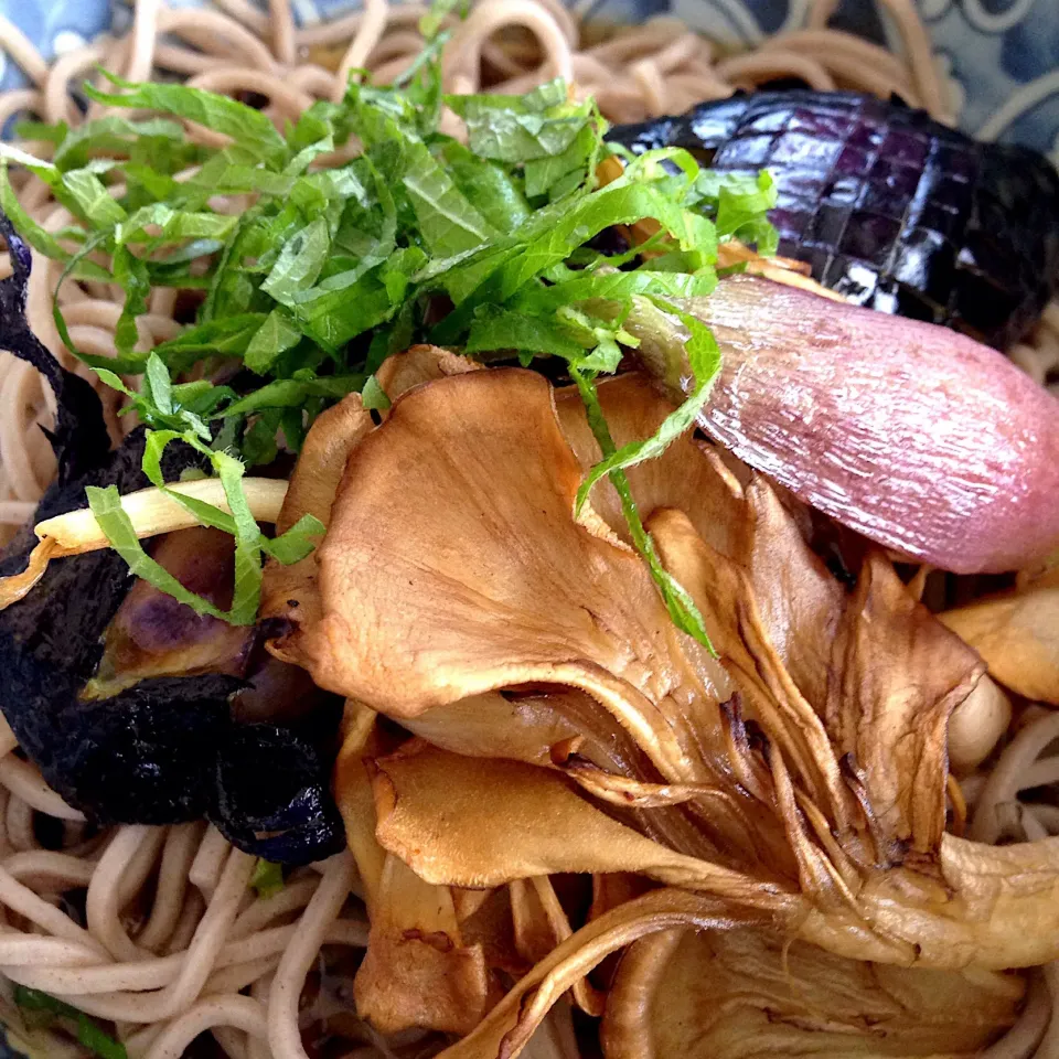 Snapdishの料理写真:冷たい蕎麦で土曜のランチ
揚げなすと揚げ舞茸と揚げみょうがをのっけ盛り✨✨✨
2018.5.26|Yu Yu mamaさん