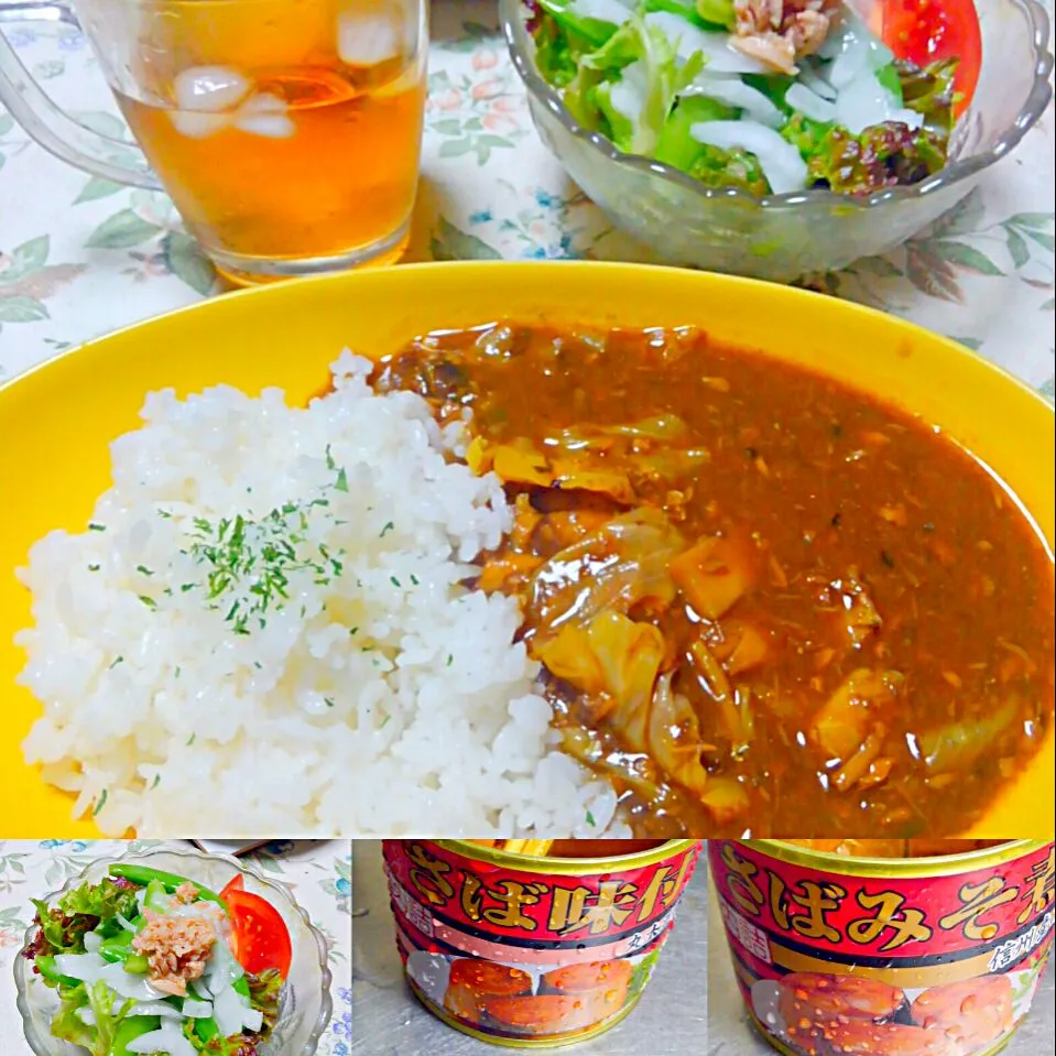 春風亭昇太師匠のサバの味噌煮缶カレー🍛|うたかた。さん