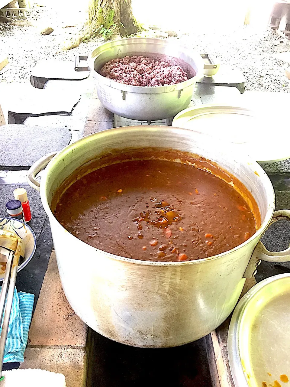 鹿肉キーマカレー&黒米ご飯|みゃ〜・はつさん