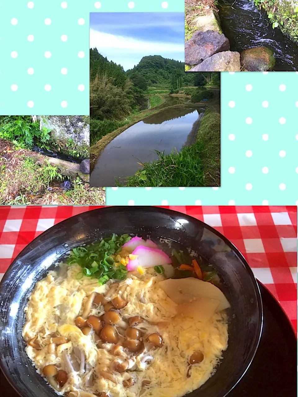 かぴもっさんさんのとゅるん🎵なめこをうどんにのっけてみました～(≧▽≦)💕|かぴかぴさん