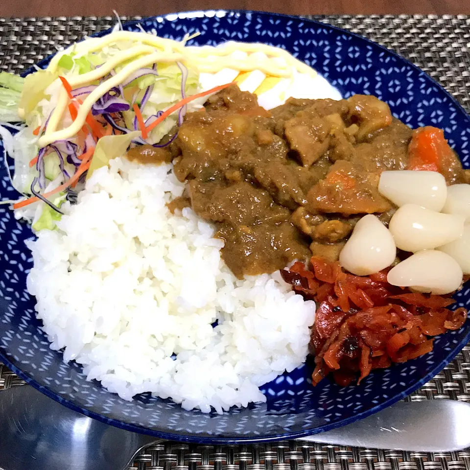 カレーライス 5/28 #晩ごはん  #単身赴任飯|Koichi GOGOさん