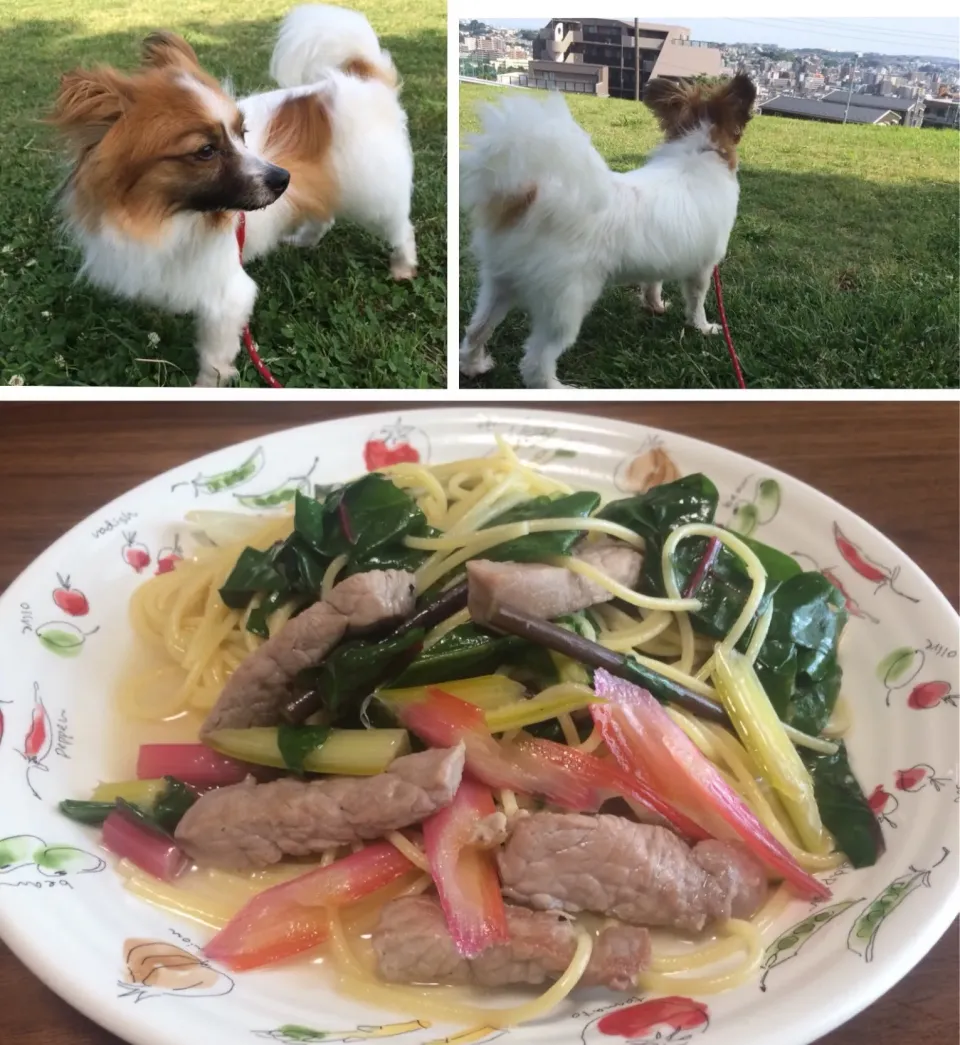 スイスチャードと豚モモのランチパスタ🍀🍖🍝   おまけに付き🐶💕|ぱぴこ家さん