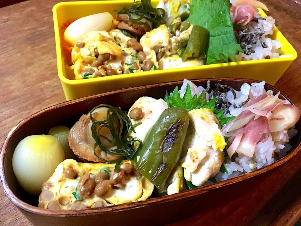 Snapdishの料理写真:胸肉のトマト出汁ソテー弁当|Naoko Miyataさん