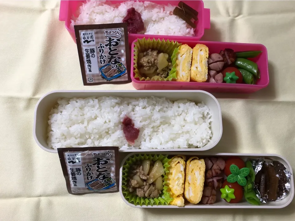 Snapdishの料理写真:2018/05/30(水) 夫弁当&娘弁当🎵|kiyominさん