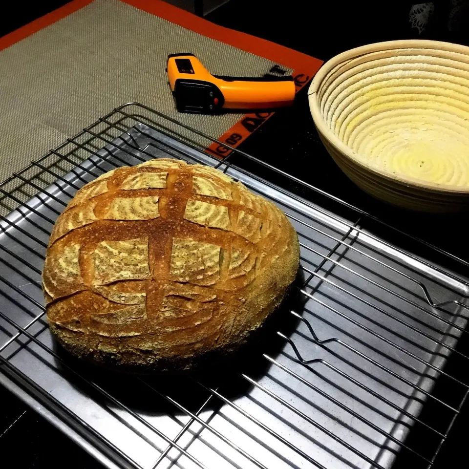 Sourdough bread|Tess Worlandさん