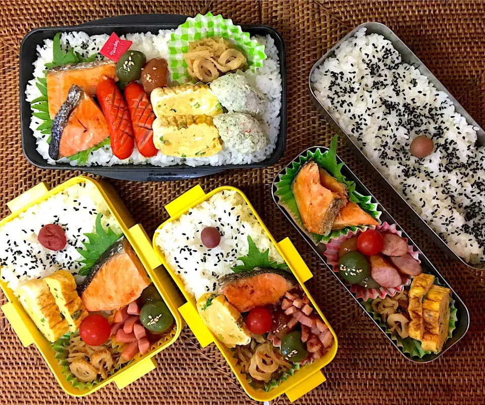 #中高生弁当  #父ちゃん弁当  #鮭弁|よちこさん