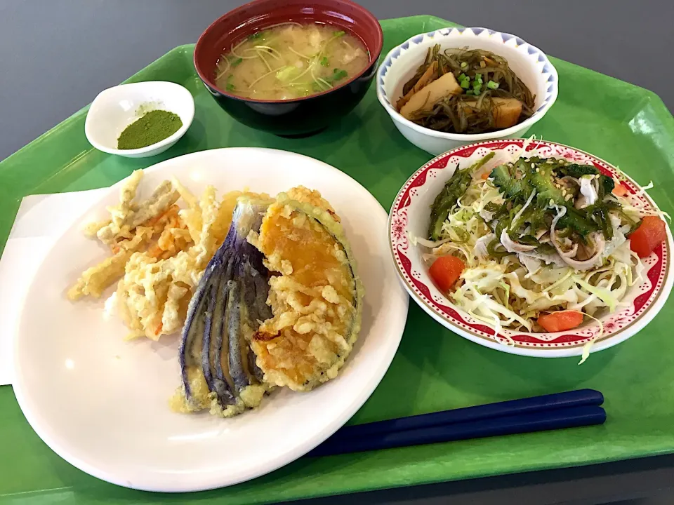 鶏ささみと夏野菜の天ぷら、切昆布とさつま揚げ煮、豚肉とゴーヤの沖縄風梅サラダ|Tadahiko Watanabeさん