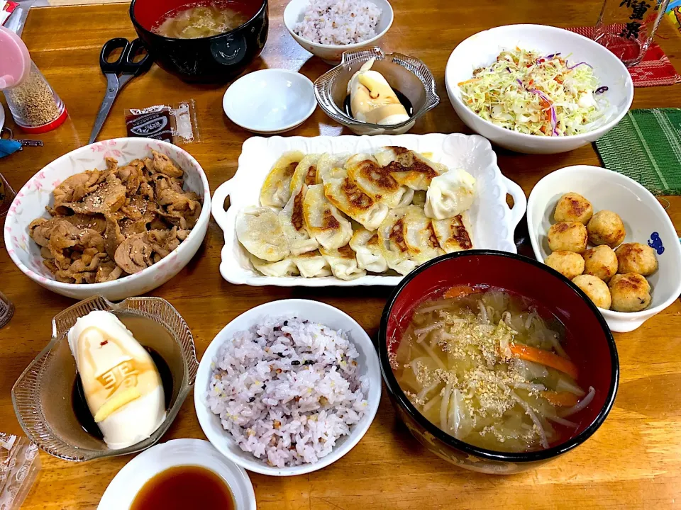 みんみん餃子、豚の生姜焼き、冷奴、肉団子、サラダ*\(^o^)/*|すかラインさん